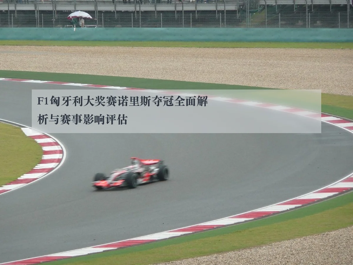 F1匈牙利大奖赛诺里斯夺冠全面解析与赛事影响评估